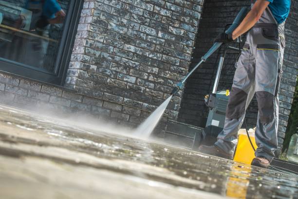 Best Sidewalk and Walkway Cleaning  in Dunbar, WV